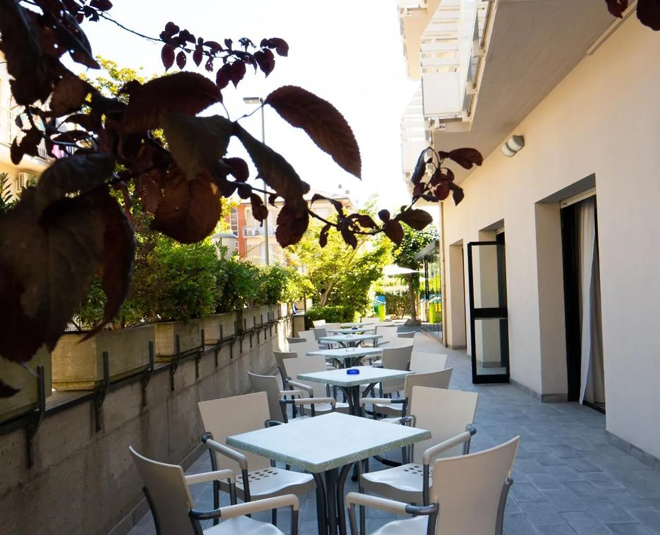 Hotel Dafne Punta Marina